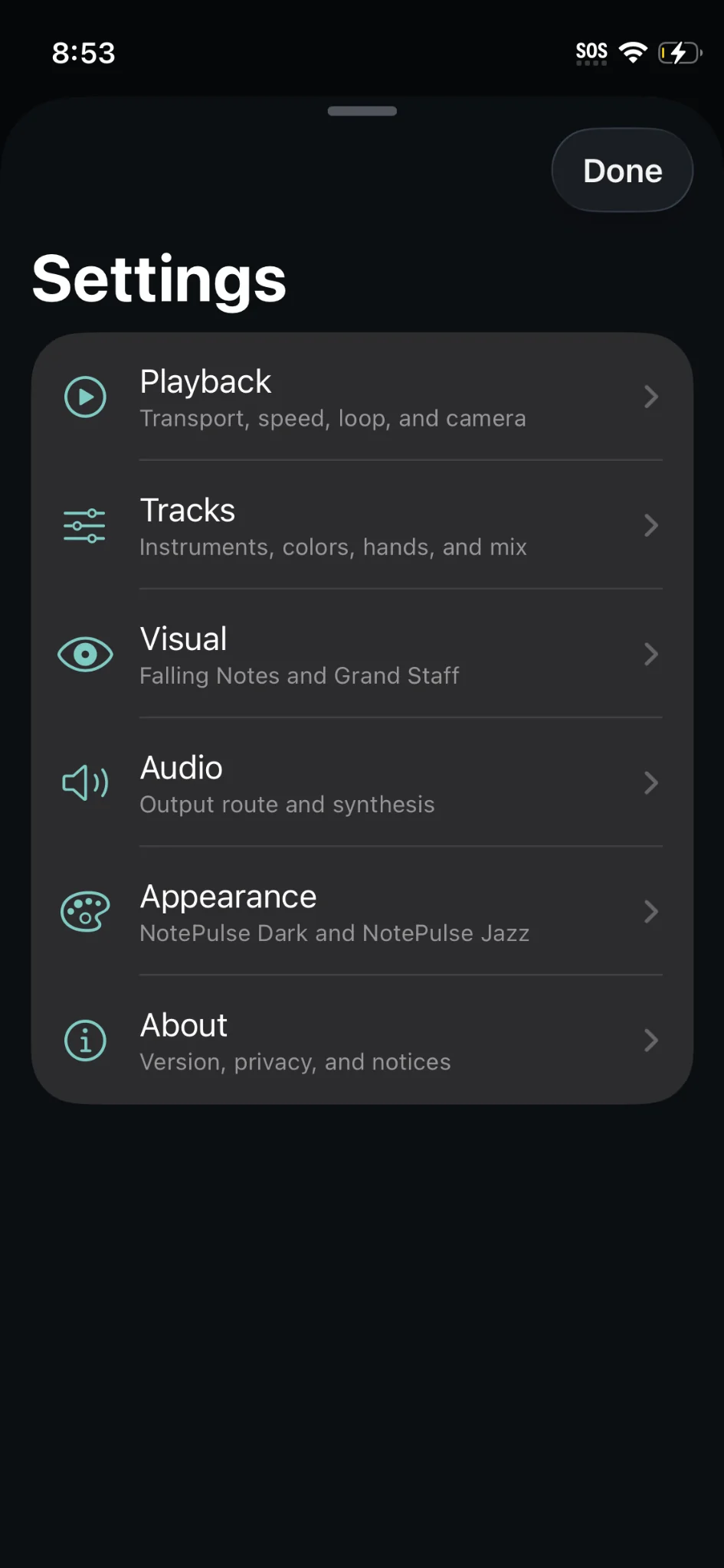Actual NotePulse iPhone screenshot: Native iOS settings organize playback, tracks, visual options, audio, and appearance.